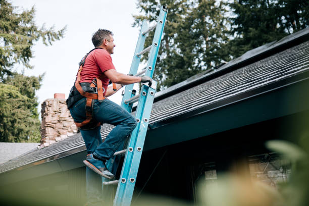 Best Roof Moss and Algae Removal  in Stanwood, WA